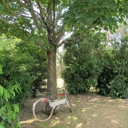 Maison Calme De Campagne Avec Jardin Clos, Jeux Pour Enfants Et Velos A Proximite De Chateaubriant - Fr-1-306-902 Moisdon-la-Riviere Exterior photo
