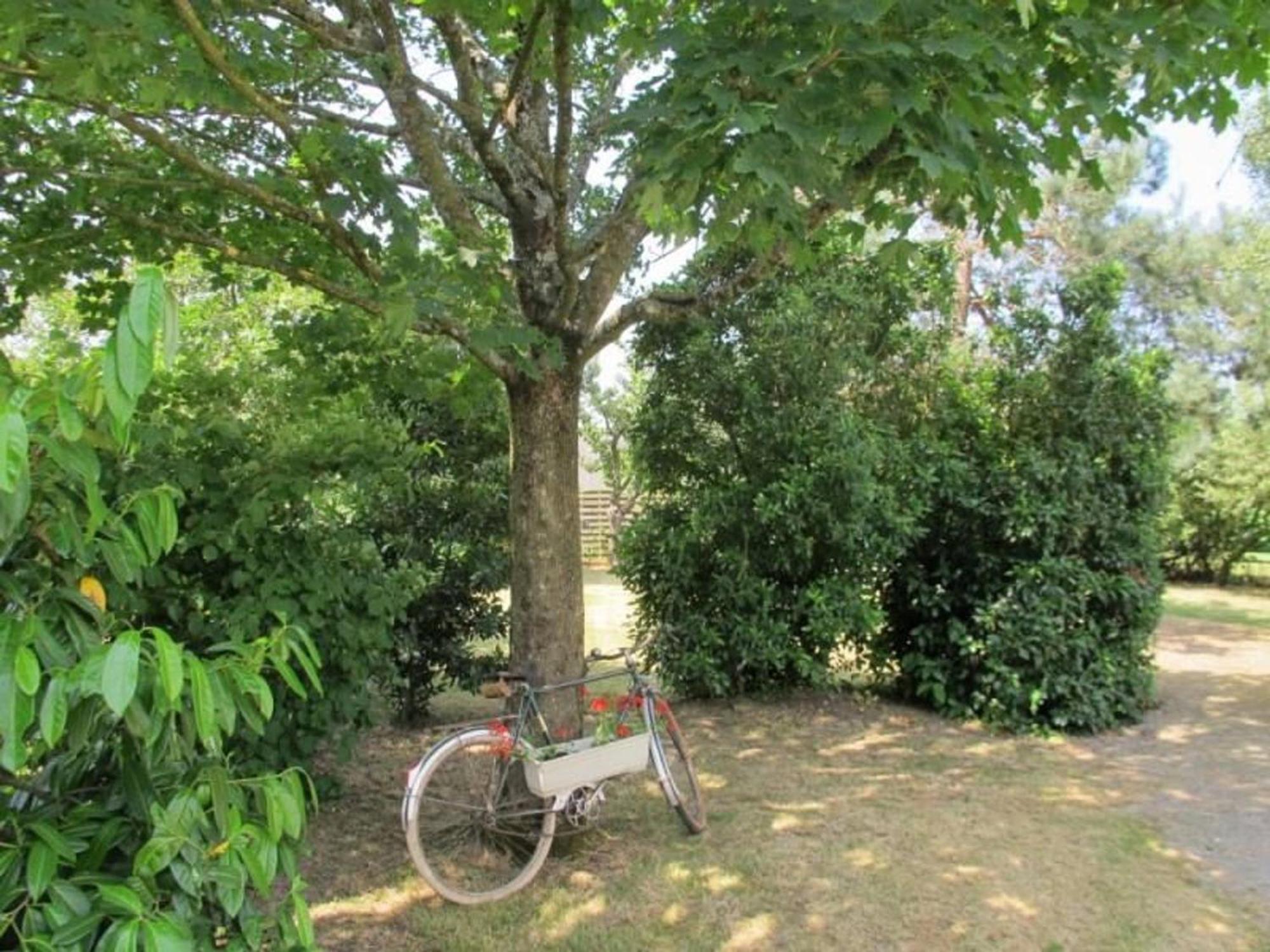 Ferienhaus Maison Calme De Campagne Avec Jardin Clos, Jeux Pour Enfants Et Velos A Proximite De Chateaubriant - Fr-1-306-902 *